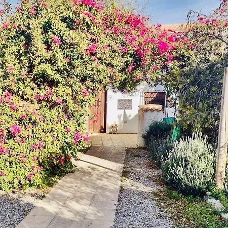 Lavender Almeria Homestay Arboleas