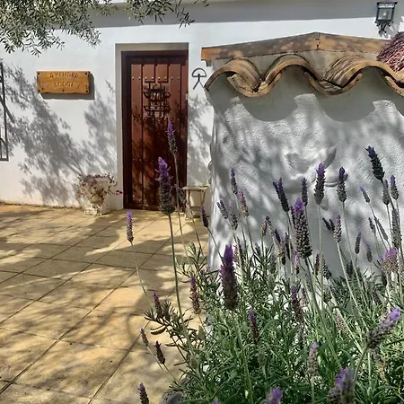 Homestay Lavender Almeria Arboleas